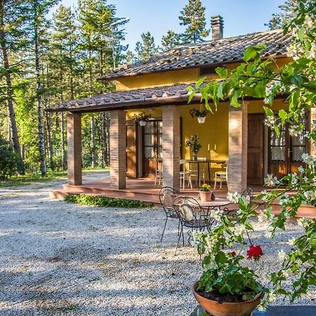 Willa Il Ginepro Cortona Zewnętrze zdjęcie