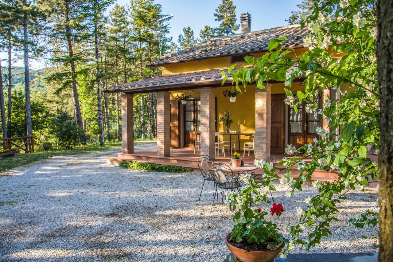 Willa Il Ginepro Cortona Zewnętrze zdjęcie