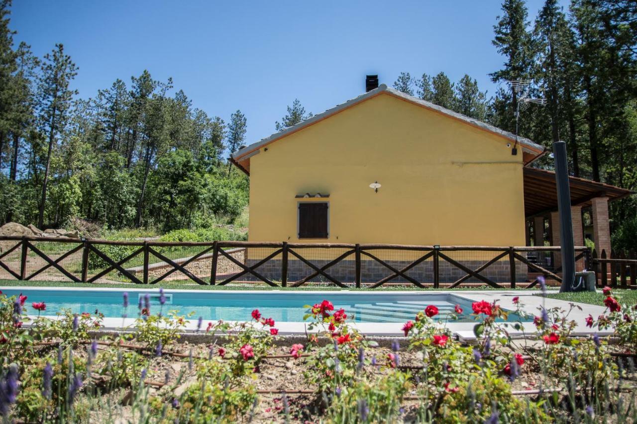 Willa Il Ginepro Cortona Zewnętrze zdjęcie